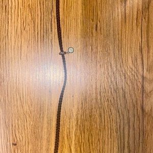 NEW Pandora necklace with pendant